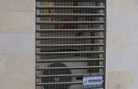 הרחקת יונים