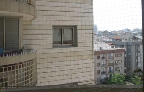 הרחקת יונים