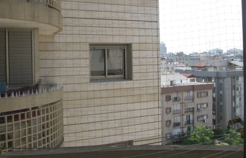 הרחקת יונים