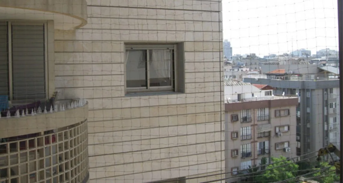 הרחקת יונים