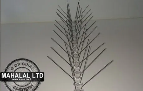 דוקרנים נגד יונים