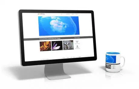 בניית אתרים לעסקים