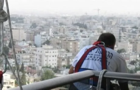 מרחיק יונים מקצועי