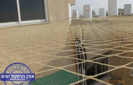 הרחקת יונים – מדוע זה חשוב