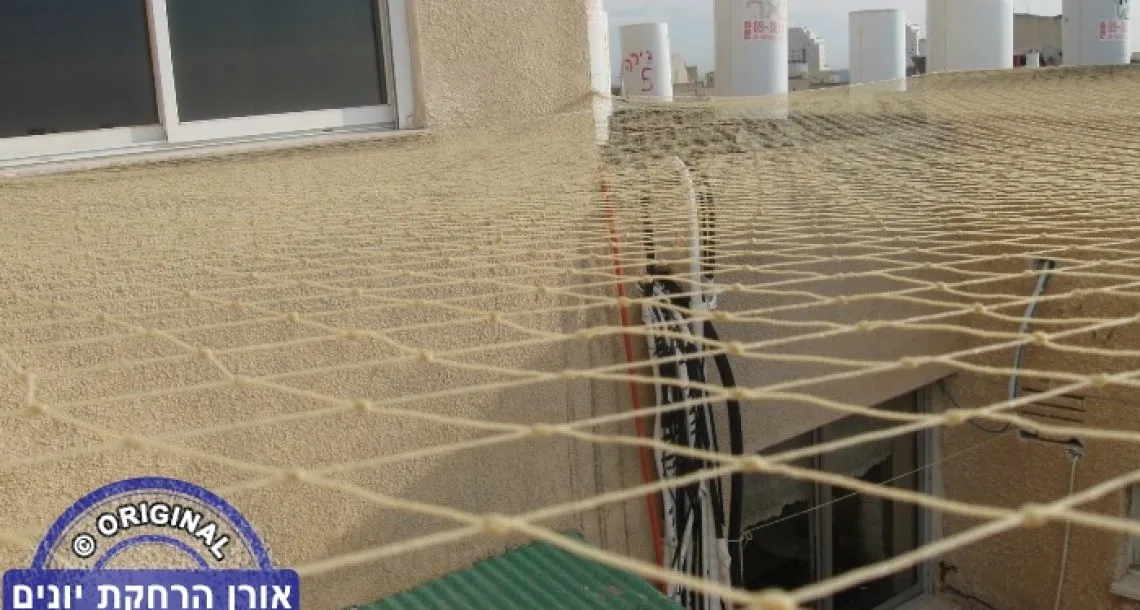 הרחקת יונים – מדוע זה חשוב