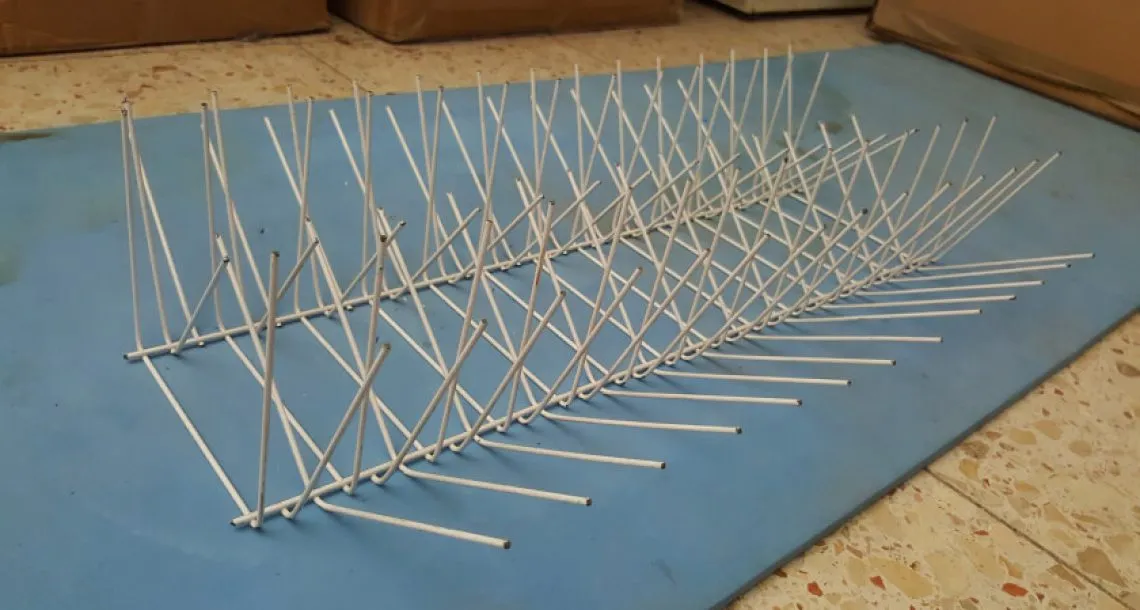 רשת יונים ושיטות נוספות להרחקת יונים