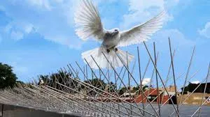 הרחקת יונים