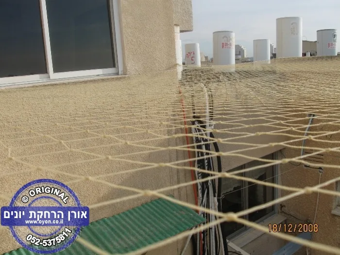 הרחקת יונים – מדוע זה חשוב