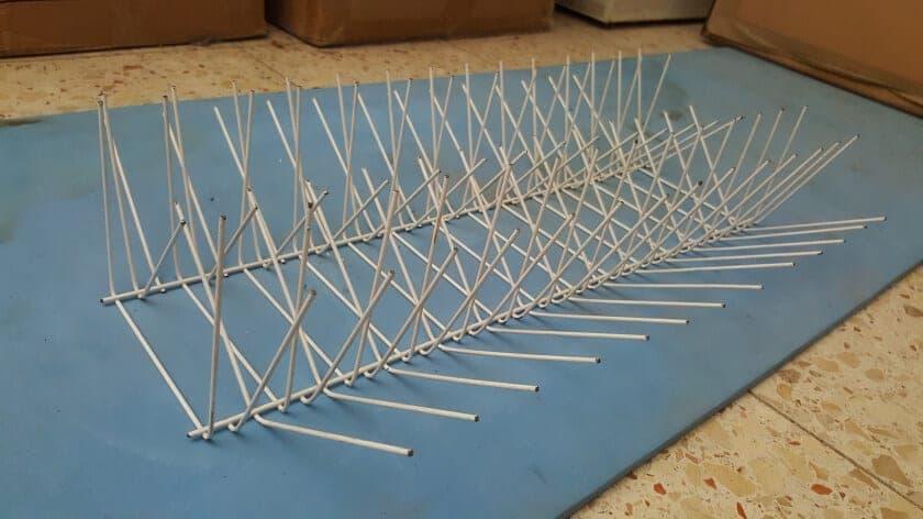 רשת יונים ושיטות נוספות להרחקת יונים